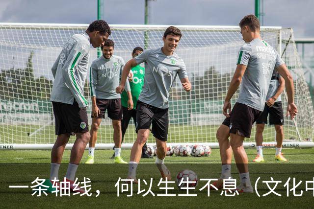 一条轴线，何以生生不息（文化中国行·人文观察·申遗成功之后①）