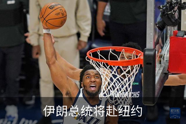 伊朗总统将赴纽约