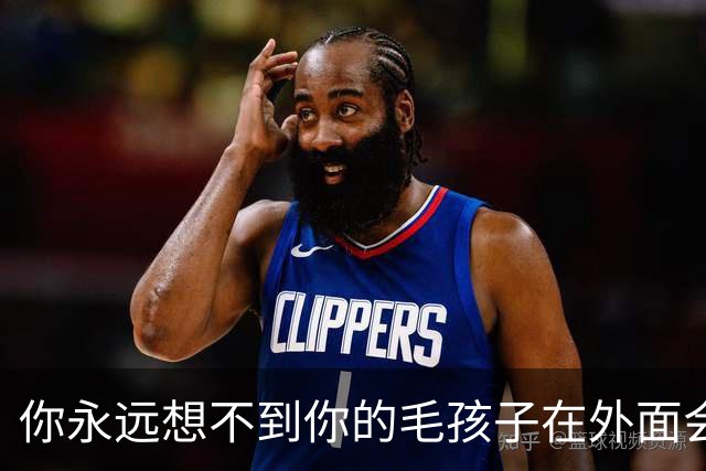 你永远想不到你的毛孩子在外面会被叫什么！网友：坚果被叫建国…