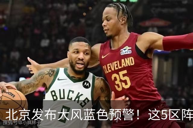 北京发布大风蓝色预警！这5区阵风可达8级以上