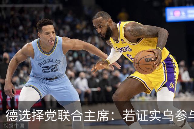 德选择党联合主席：若证实乌参与了北溪管道被炸事件，将面临后果