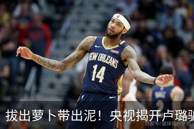 拔出萝卜带出泥！央视揭开卢璐骗局内幕，竟意外牵扯大半个娱乐圈