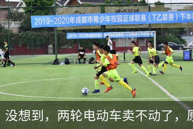 没想到，两轮电动车卖不动了，原来大家都在算这笔实在账？