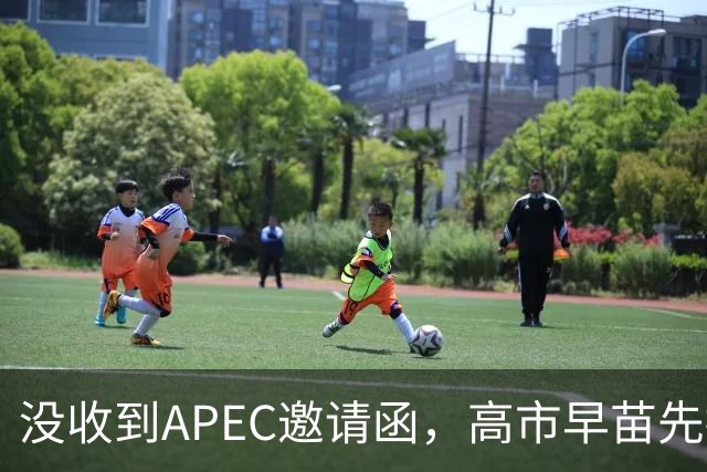 没收到APEC邀请函，高市早苗先挨了当头一棒，中方给出了唯一出路
