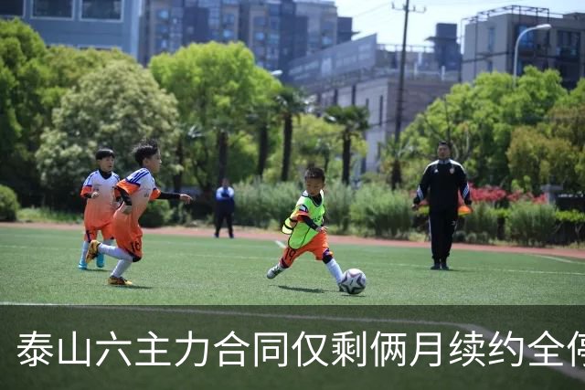 泰山六主力合同仅剩俩月续约全停！等日本神户德国教练定选，李源一王大雷明年去向成谜