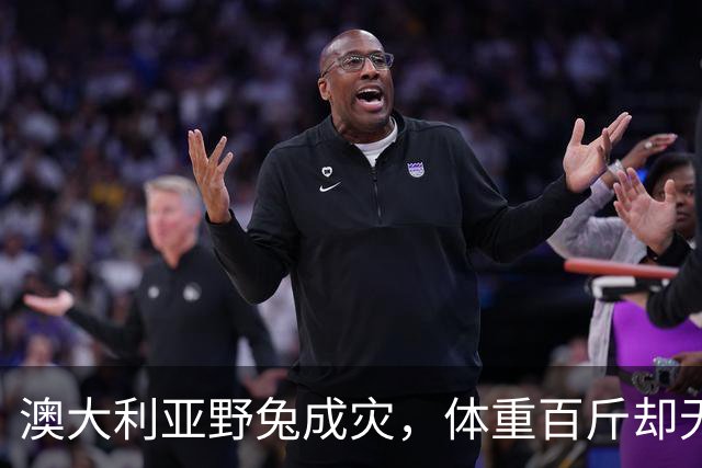 澳大利亚野兔成灾，体重百斤却无人食用，当地人给出答案：不敢吃