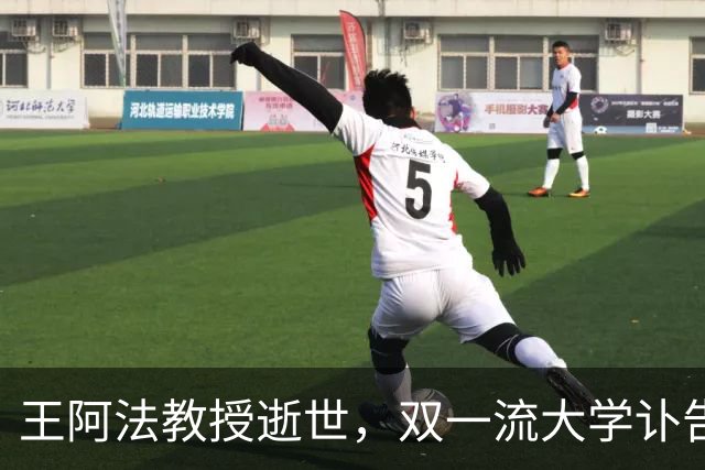 王阿法教授逝世，双一流大学讣告