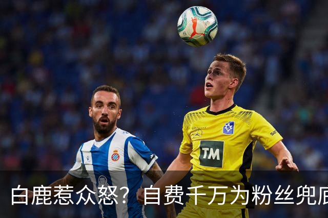 白鹿惹众怒？自费千万为粉丝兜底遭围攻，看清内幕才知她有多清醒