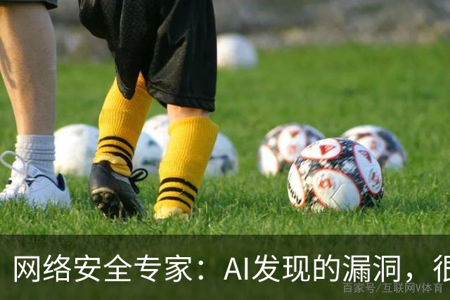 网络安全专家：AI发现的漏洞，很快或将引发新的安全隐患