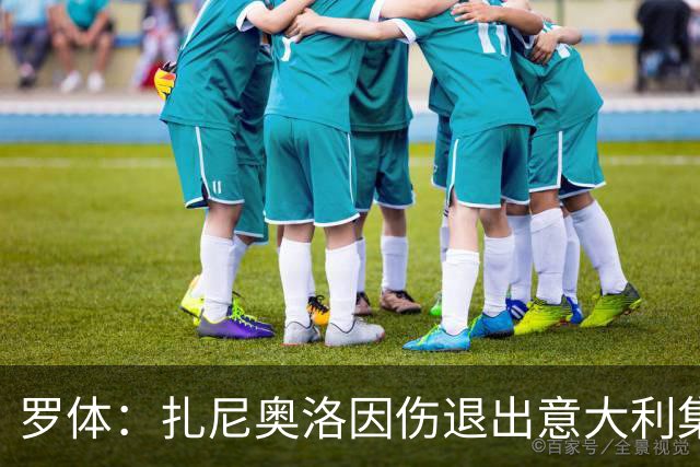 罗体：扎尼奥洛因伤退出意大利集训营，无缘战土耳其、法国