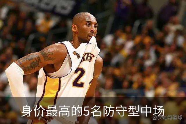 身价最高的5名防守型中场