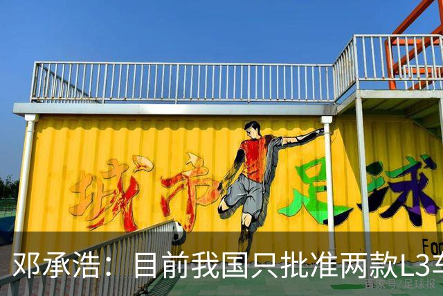 邓承浩：目前我国只批准两款L3车型 很多产品在打擦边球