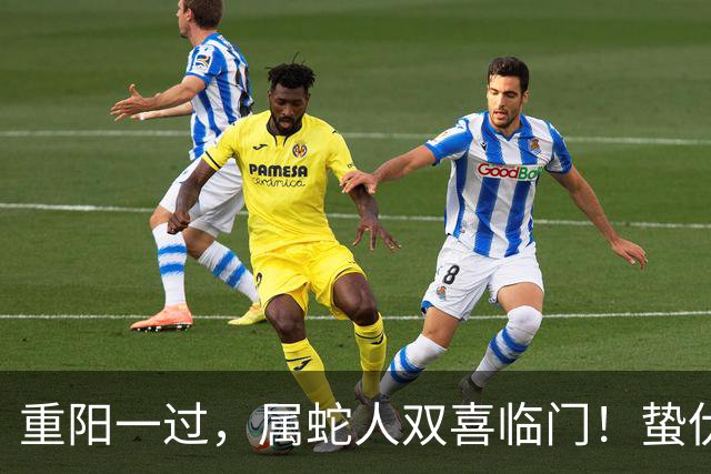 重阳一过，属蛇人双喜临门！蛰伏多年的你，终于要翻身了