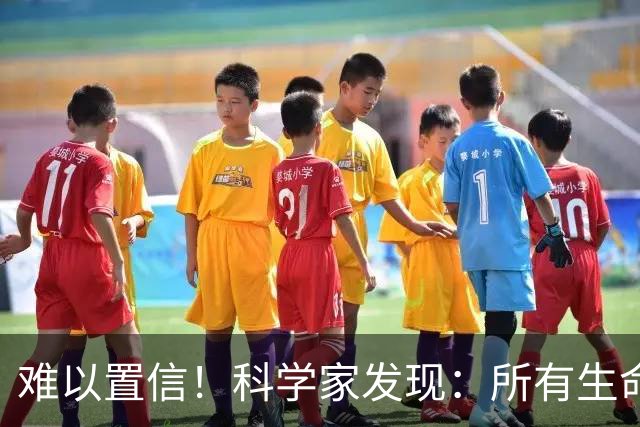 难以置信！科学家发现：所有生命都在发光，而生命终止光就消失了