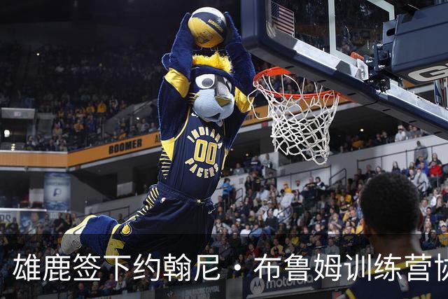 雄鹿签下约翰尼·布鲁姆训练营协议