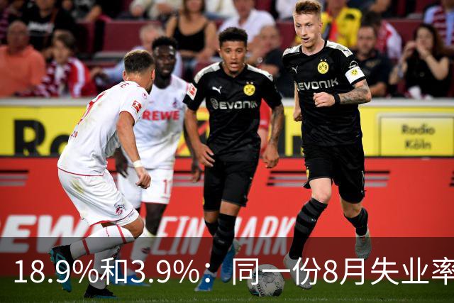 18.9%和3.9%：同一份8月失业率报告，差出近5倍
