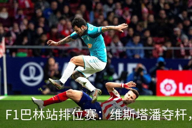 F1巴林站排位赛：维斯塔潘夺杆，汉密尔顿、哈贾尔分列二三